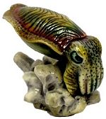 Cuttlefish